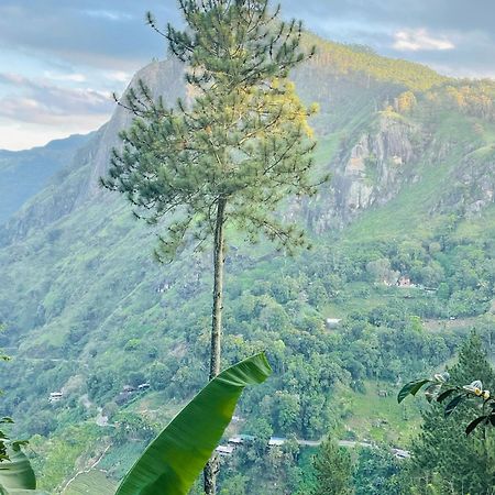 Hidden Gem Inn إيلا المظهر الخارجي الصورة