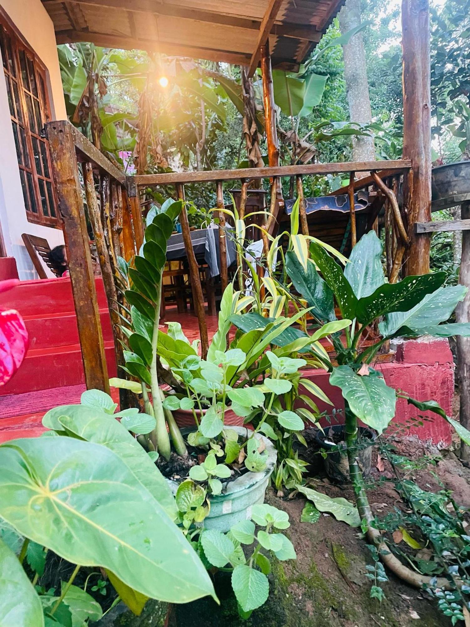 Hidden Gem Inn إيلا المظهر الخارجي الصورة