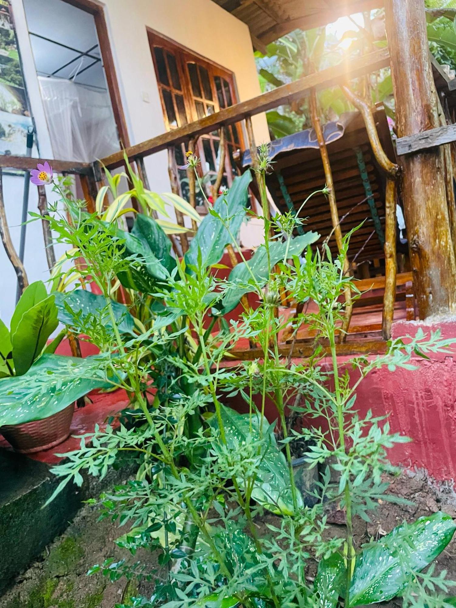 Hidden Gem Inn إيلا المظهر الخارجي الصورة