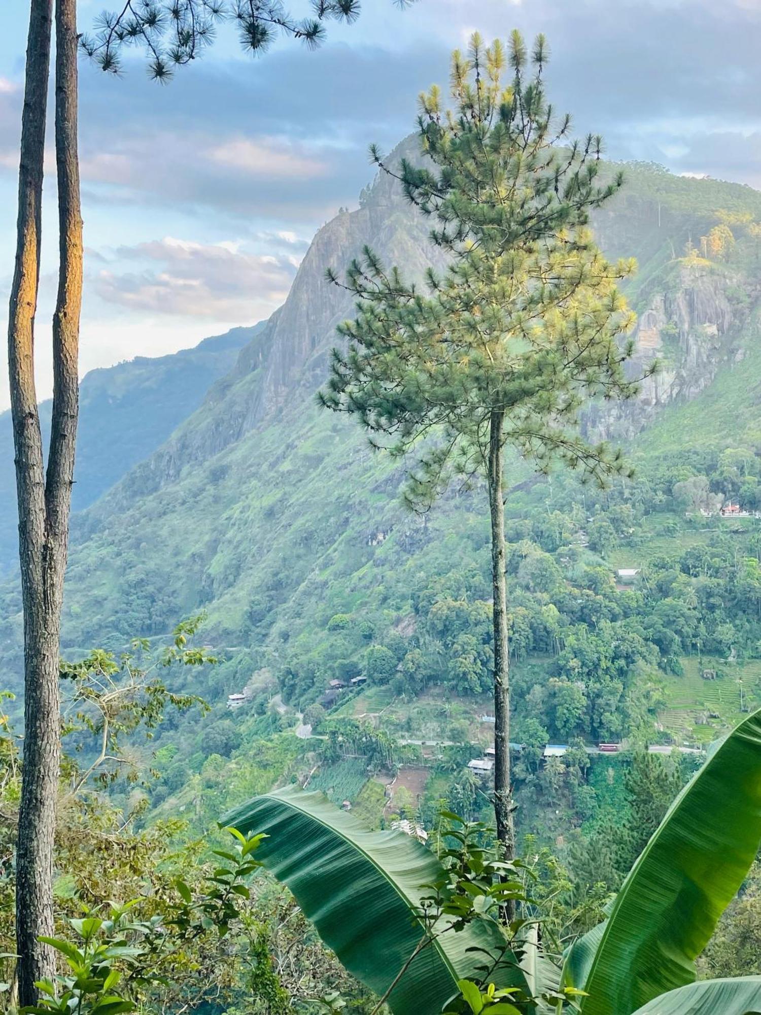 Hidden Gem Inn إيلا المظهر الخارجي الصورة