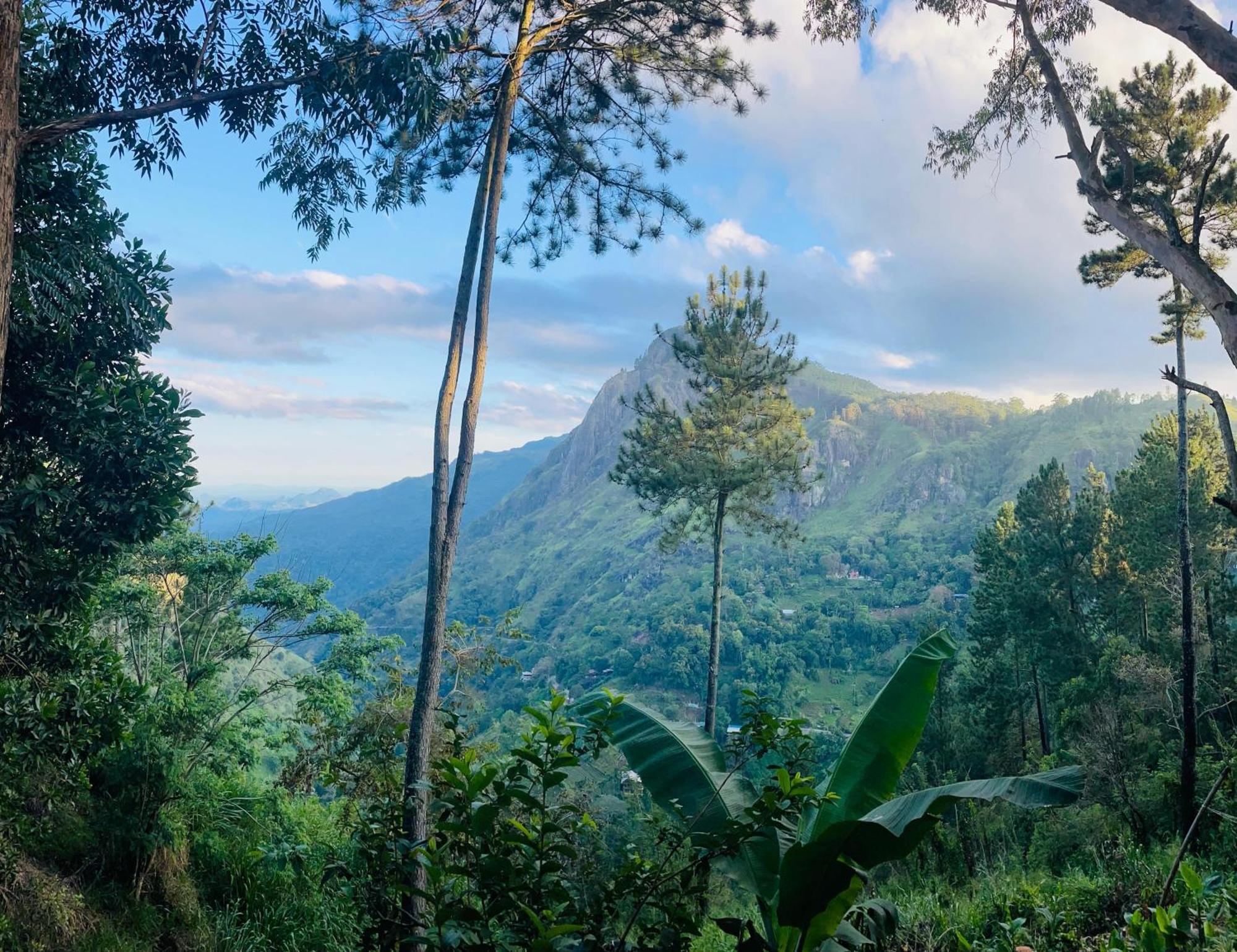 Hidden Gem Inn إيلا المظهر الخارجي الصورة