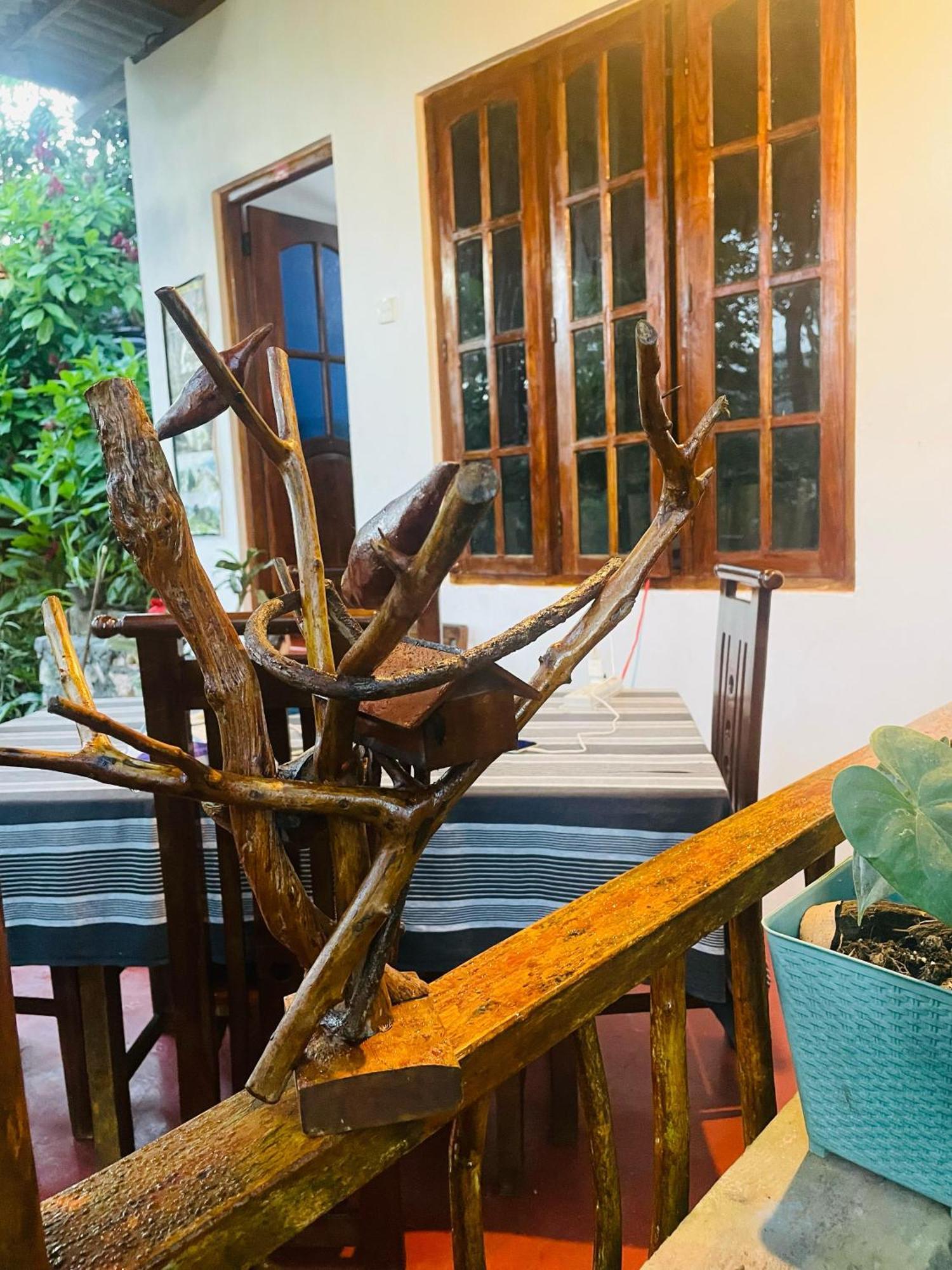 Hidden Gem Inn إيلا المظهر الخارجي الصورة