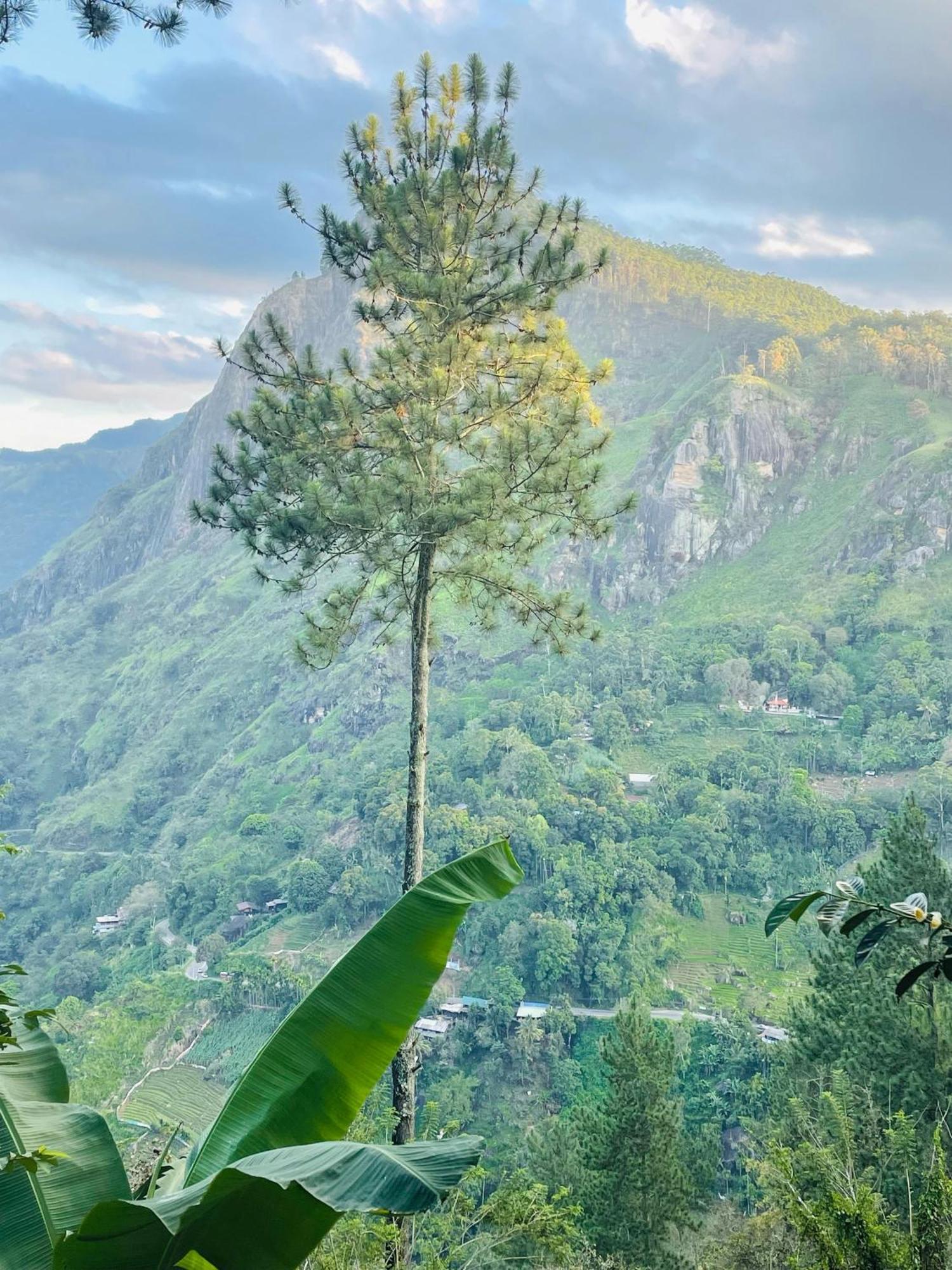 Hidden Gem Inn إيلا المظهر الخارجي الصورة