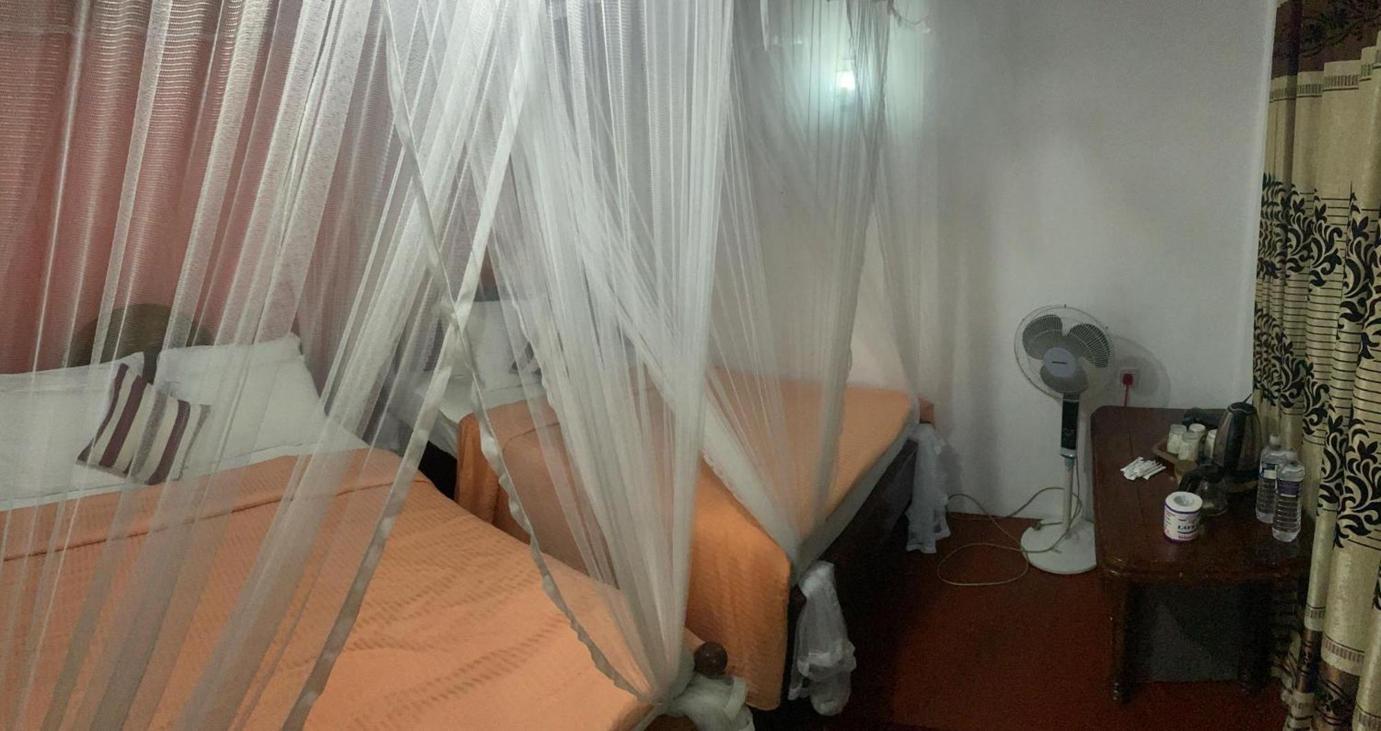 Hidden Gem Inn إيلا المظهر الخارجي الصورة