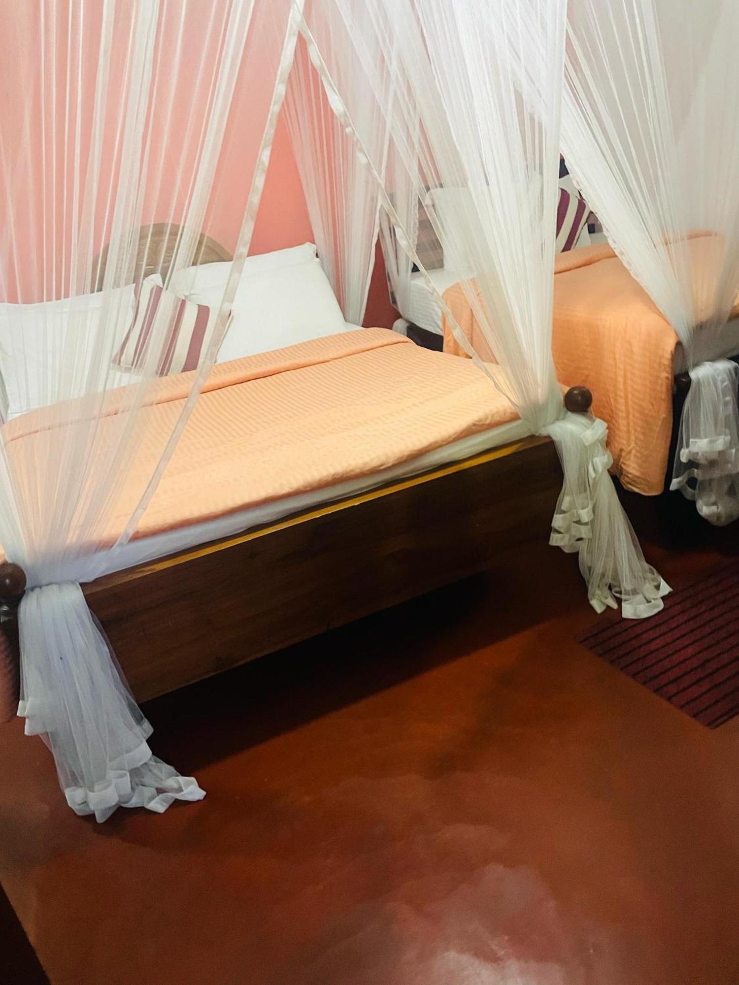 Hidden Gem Inn إيلا المظهر الخارجي الصورة